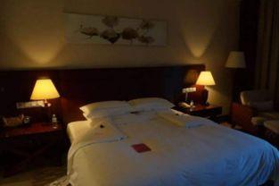 乐山酒店爆料事件真相视频,真相视频曝光背后的真相 第2张 乐山酒店爆料事件真相视频,真相视频曝光背后的真相 第2张