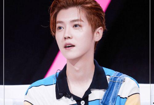 娱乐吃瓜君鹿晗,娱乐吃瓜界的风云人物 第3张 娱乐吃瓜君鹿晗,娱乐吃瓜界的风云人物 第3张